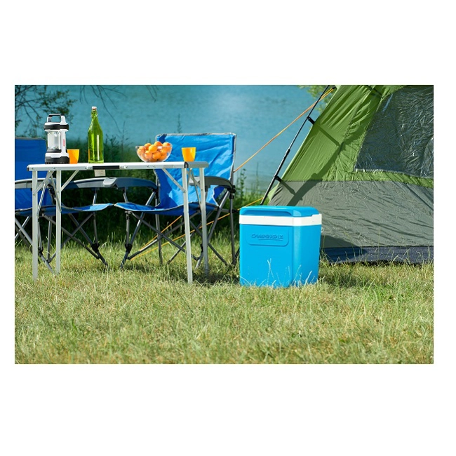 Vendita online Frigo Icetime Plus 30 lt.